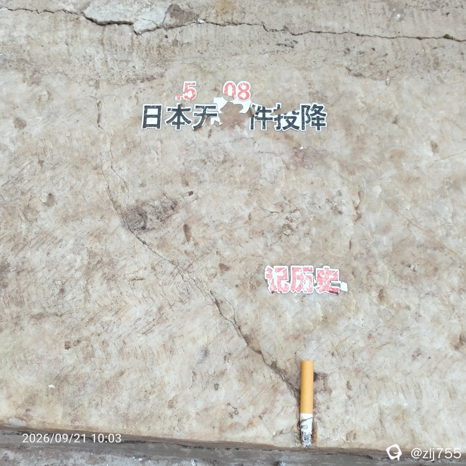 IMG20260921100347.jpg