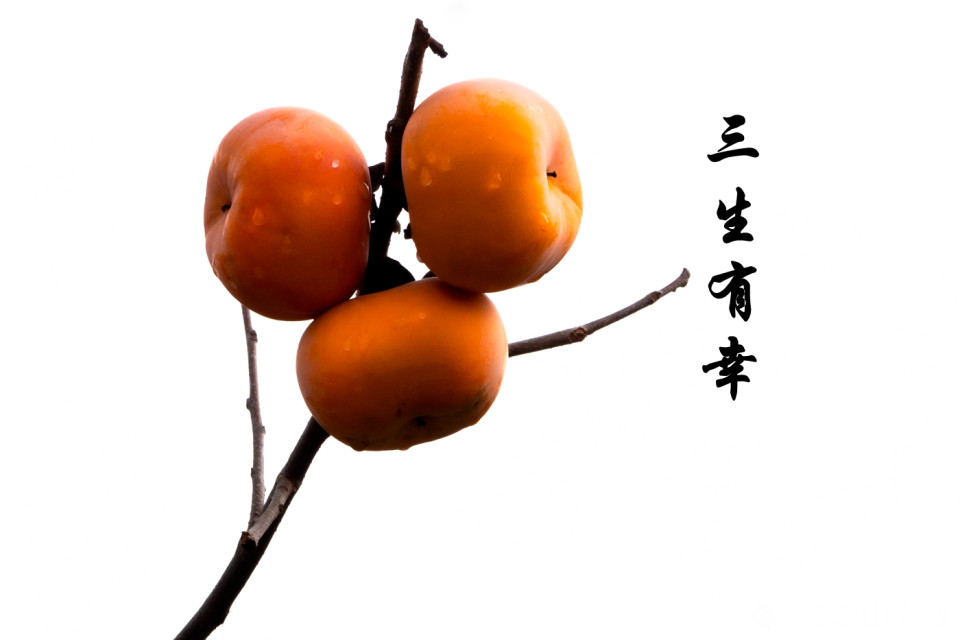 DSC04406-0_副本.jpg