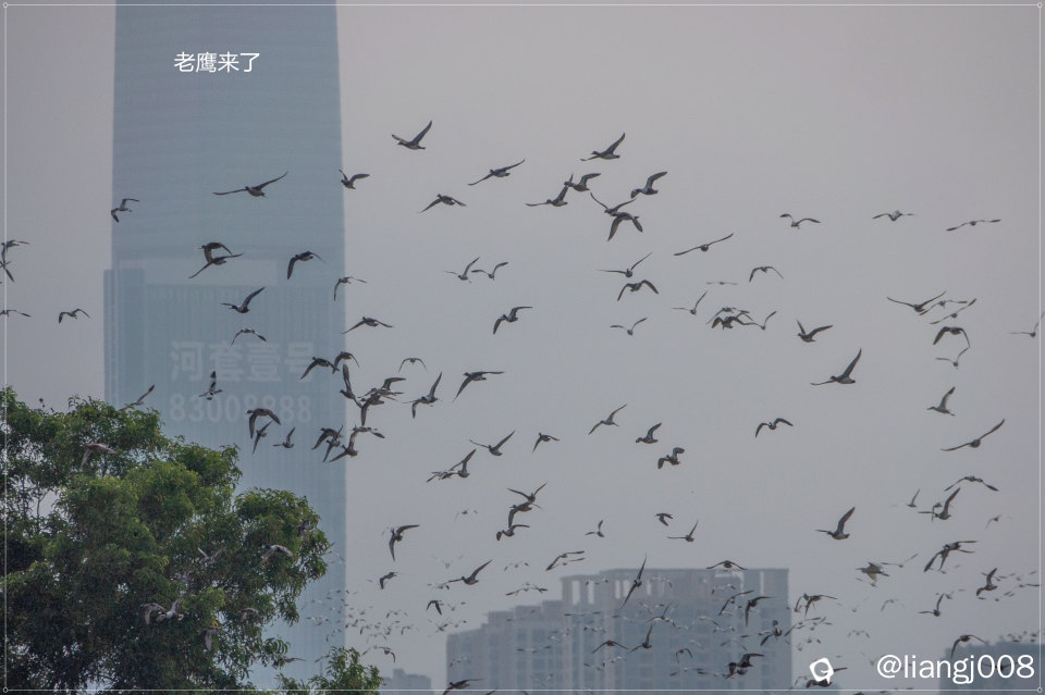 DSC07360_副本.jpg