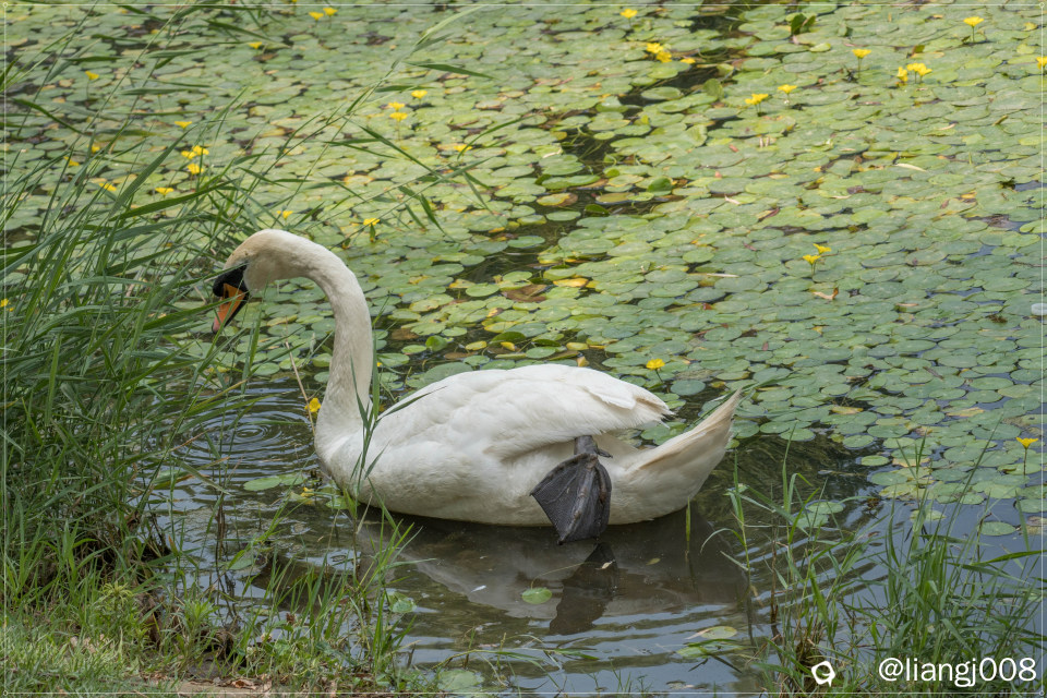 DSC01711_副本.jpg