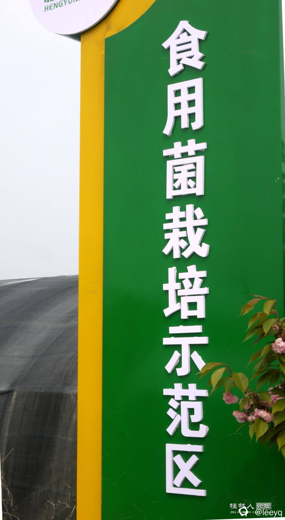 P1150574_副本.jpg