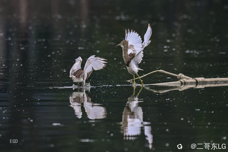 你瞅啥瞅你咋地 (3).jpg