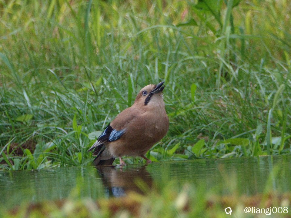 DSC07851_副本_副本.jpg