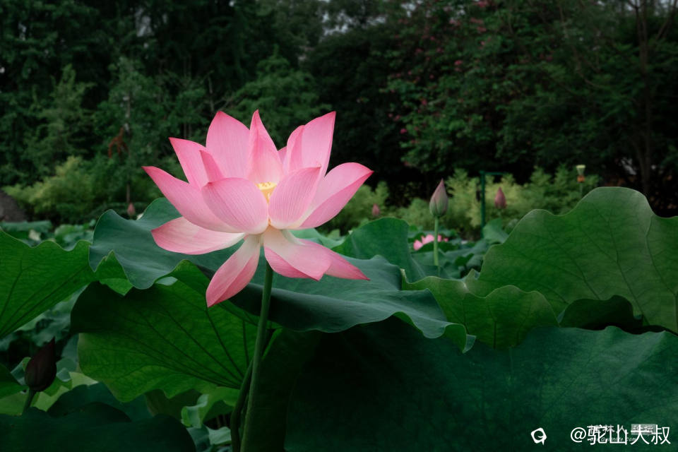 DSC07401-0 - 副本.jpg