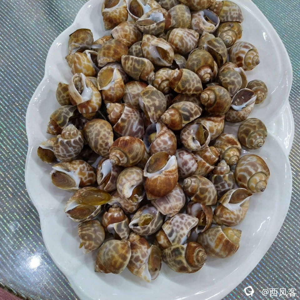 IMG_20190311_175754.jpg