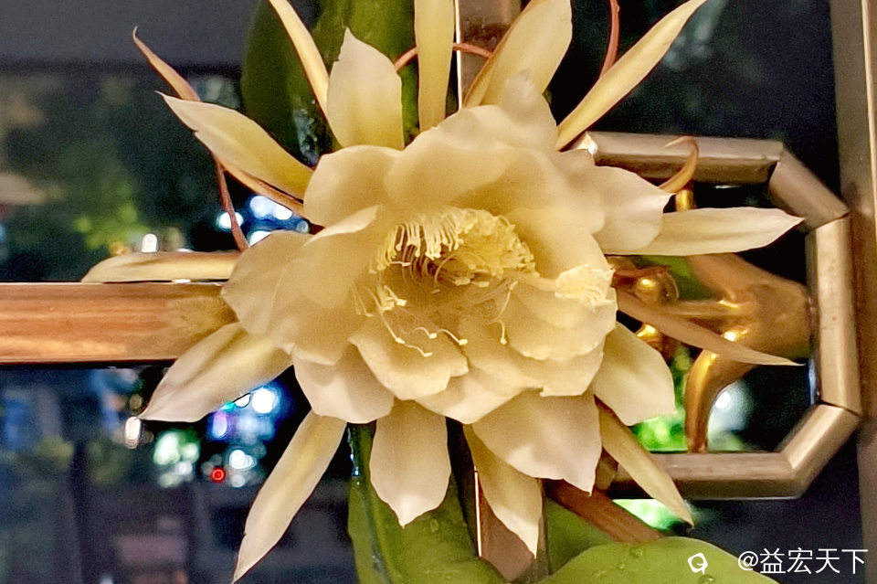 image_1781358766701.jpg