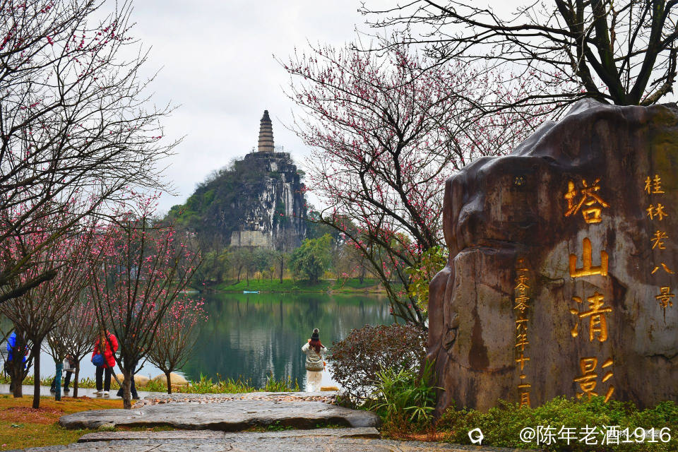 DSC_2156-01_副本.jpg