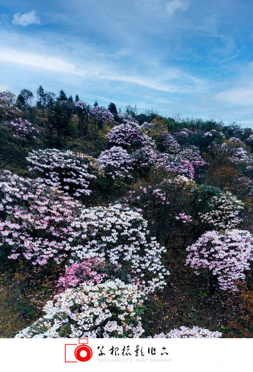 PANO0001-3-Pano 拷贝1AQ1_副本.jpg