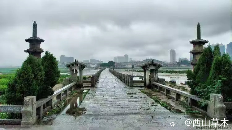 春水中的洛阳桥