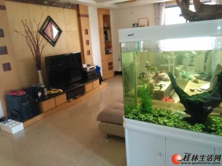 3��ɽѧ�� ����·���ֶ�¥�� 3��¥���ӽ��ĳɸ�ʽ����װ �����ס 62��