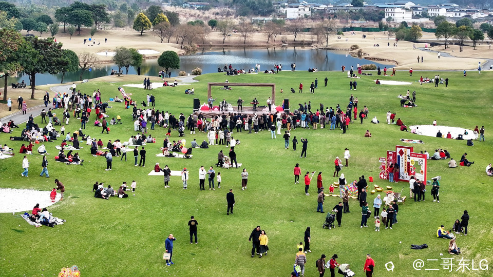 桂海晴岚 (14).jpg