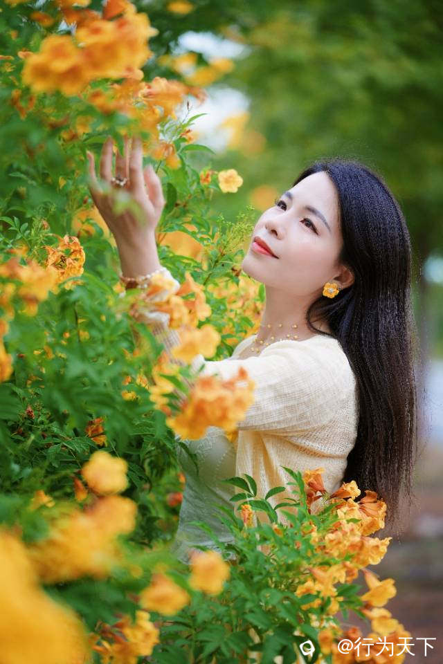 e1bad06c-c4b6-ef4c-77ed-37ac6a1c0e1f.jpg