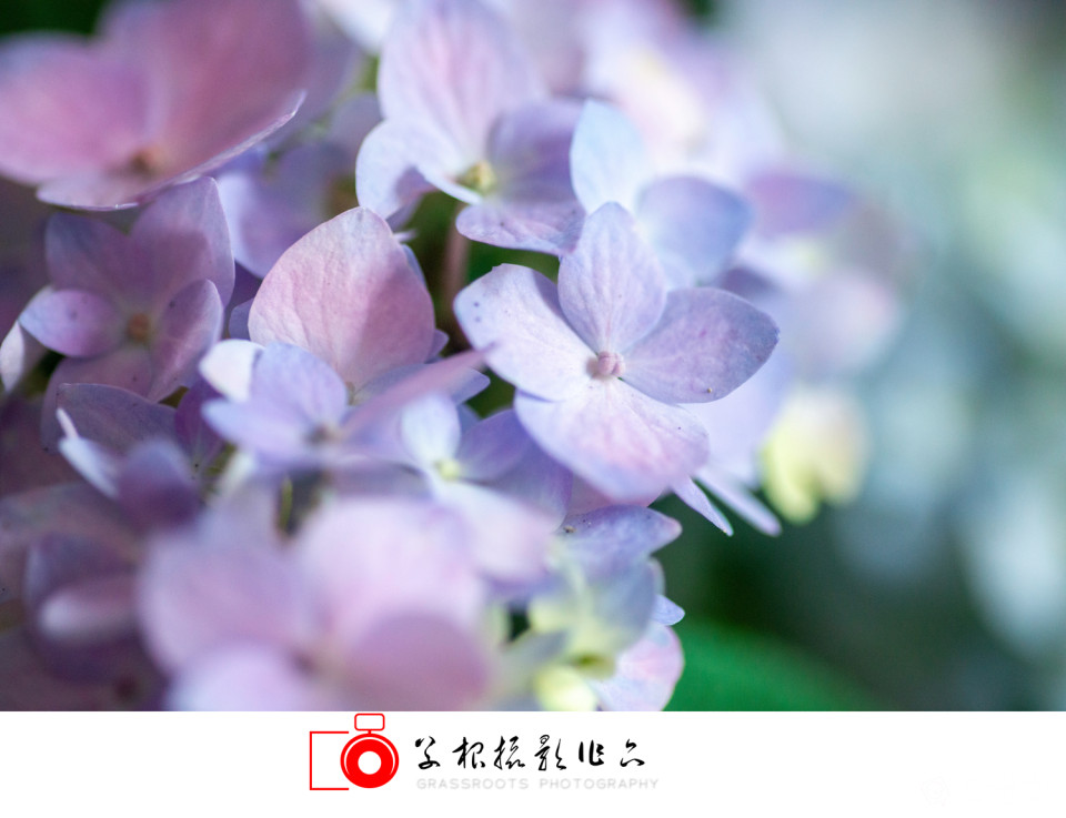 _DSC7791 拷贝_副本.jpg