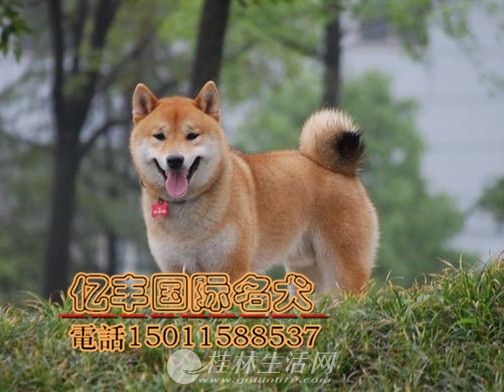 ������Ȯ��Ȯ����Ǯ ���ֲ�Ȯ�۸� �ڷ�Ȯ��ֱ��