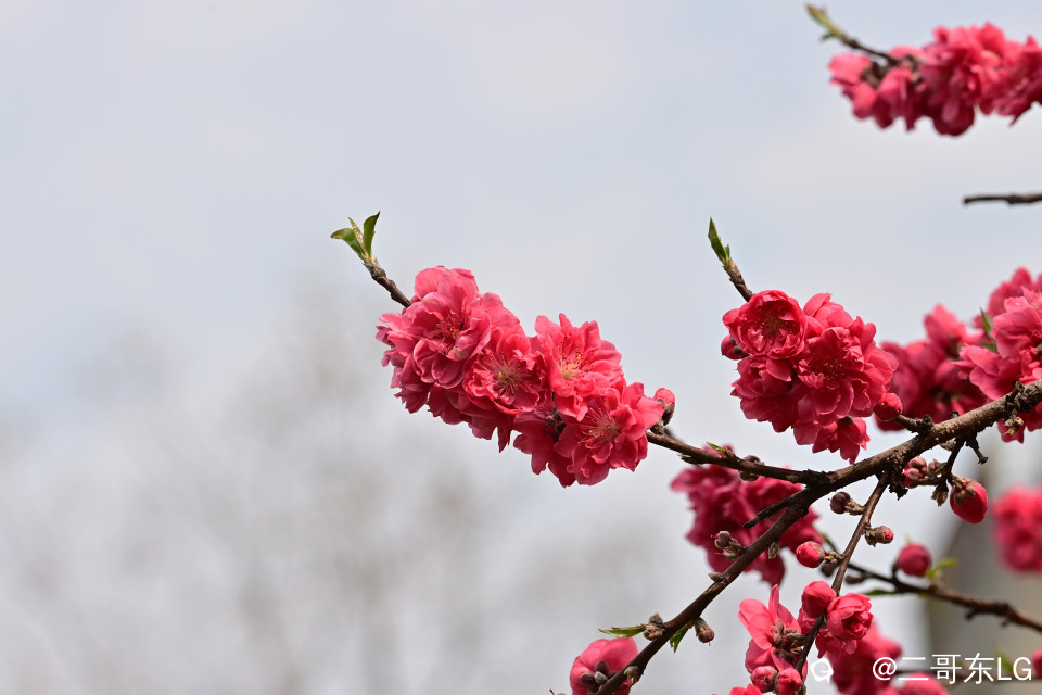 EGD_9276_副本.jpg