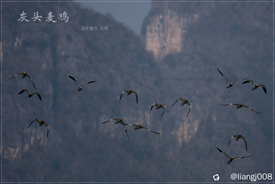 DSC079061_副本_副本.jpg