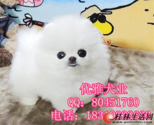 ���۴��ֹ�����������Ȯ ������������Ǯ