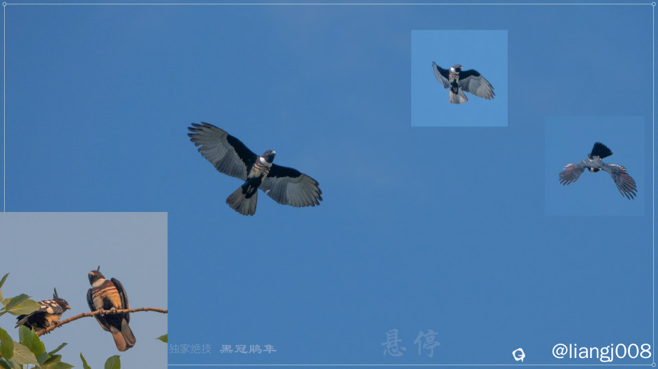 DSC00956_副本_副本.jpg