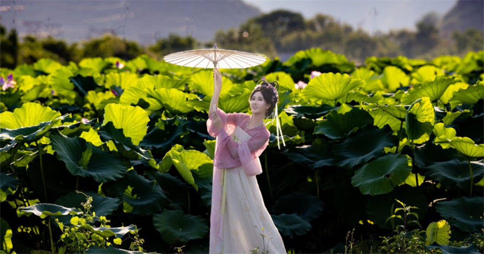 荷花池畔～