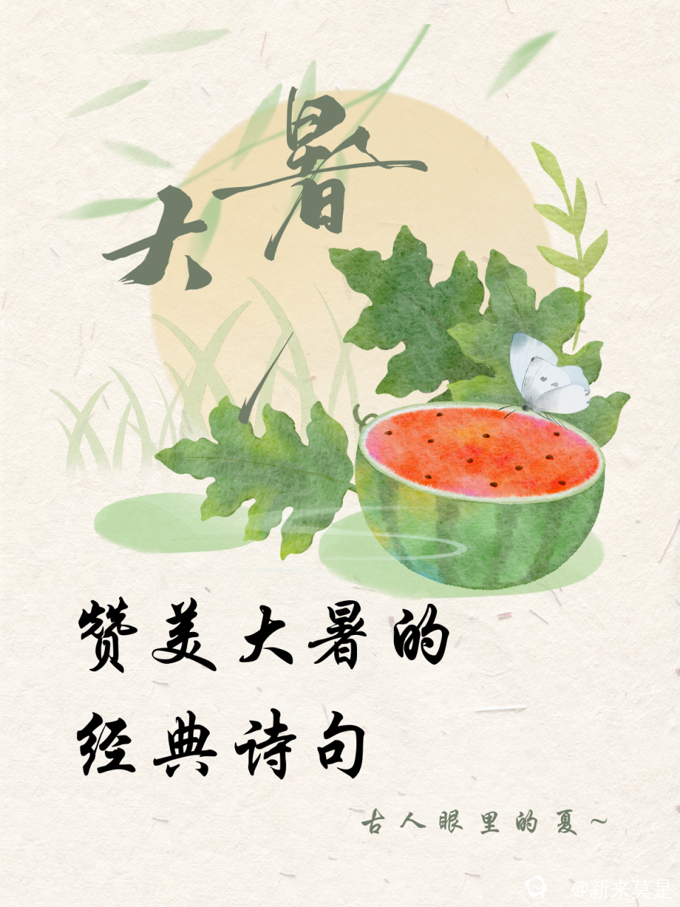 a998c2e5fecc70dd95f848177fea6b56.png