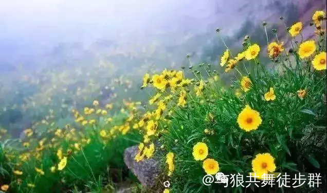 截图202405222345279077.png