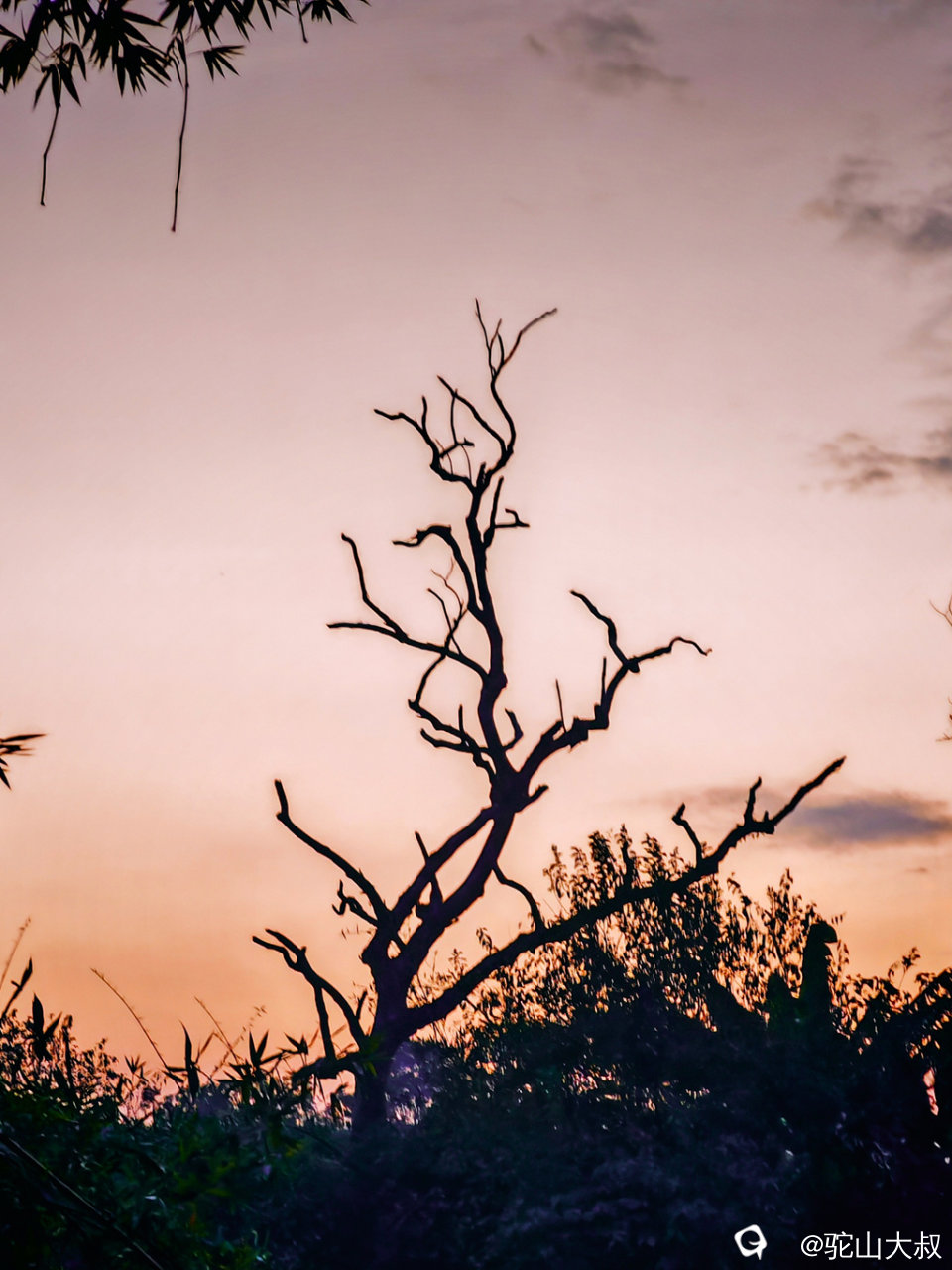 IMG_180753 - 副本.jpg