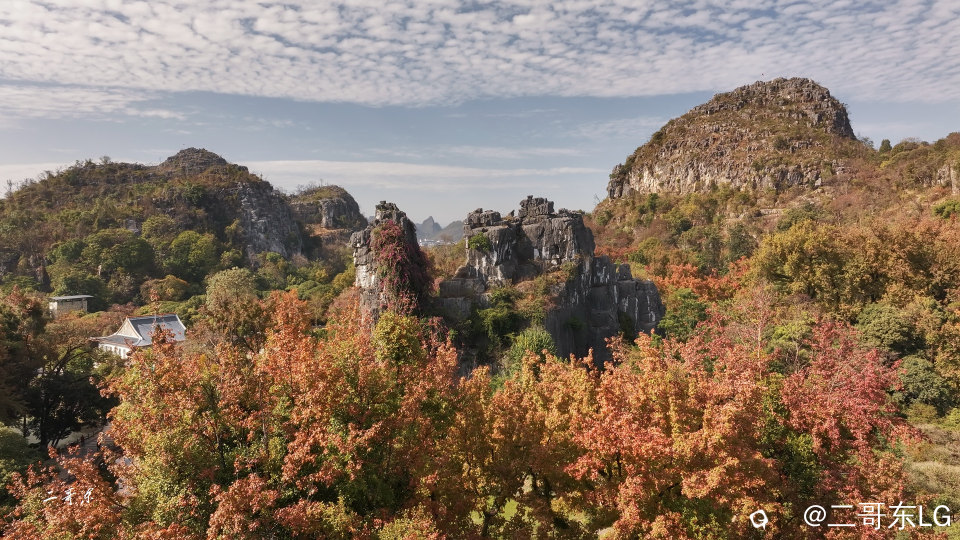 骆驼赤霞 (3).jpg