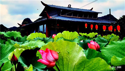 未觉芙蓉绽，先闻鸟语来
