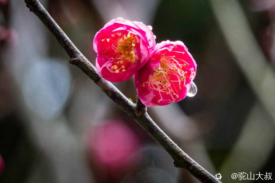 DSC04724-0 - 副本.jpg
