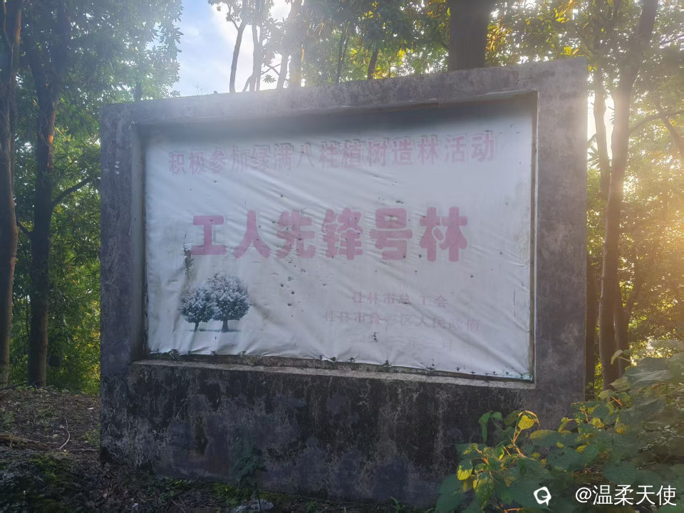 微信图片_20260726172824_72_10.jpg