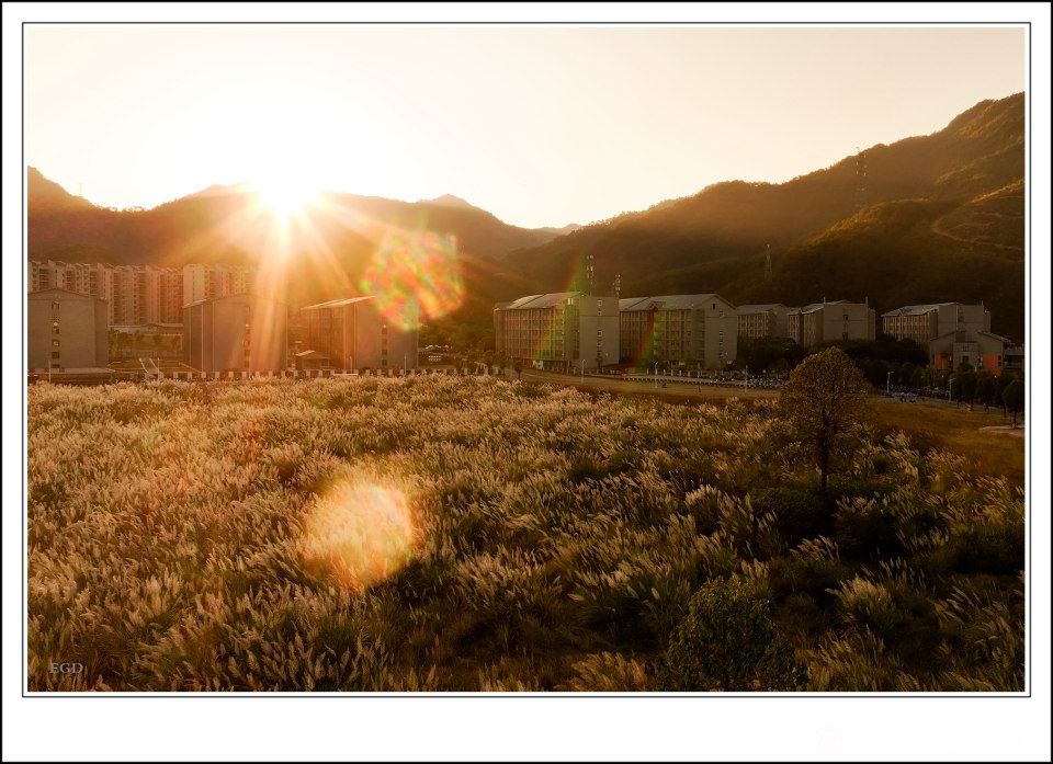 日出日落 (6).jpg