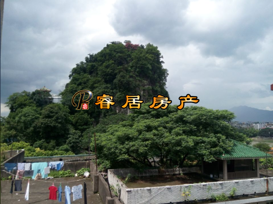S�ﱱ· ����ɽɽ��+�л�ѧ�� 2��1�� ���ͣ�� 95�� ����46��