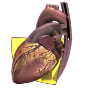 图片 3 - 副本.png