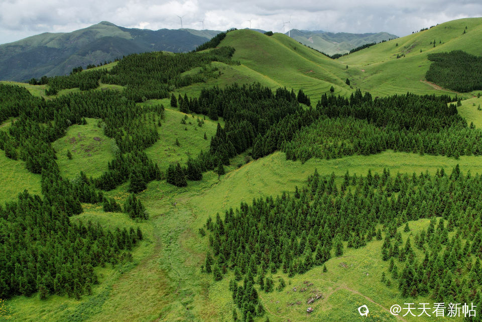 DJI_0580_副本.jpg