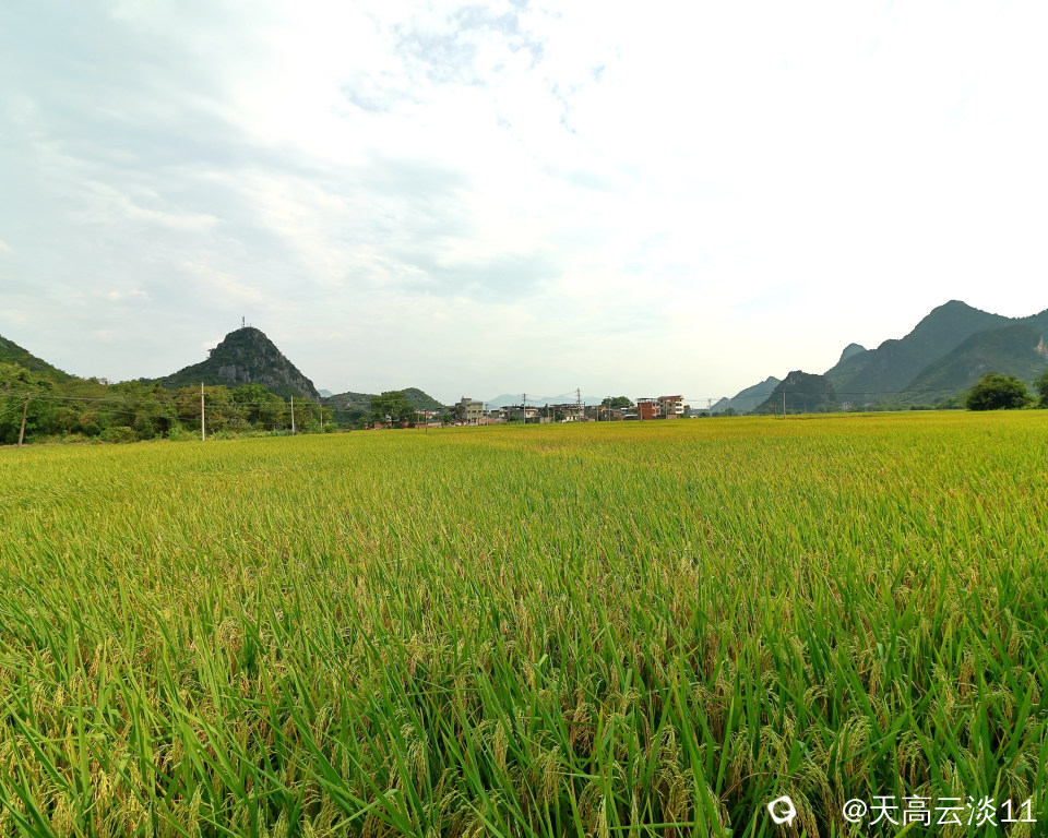 5D2A4826_副本.jpg