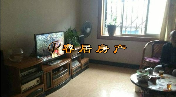 Z  ��6.6˰ ������� 2��2�� ������������· �����������᡿ 75�O  2000�� 45��