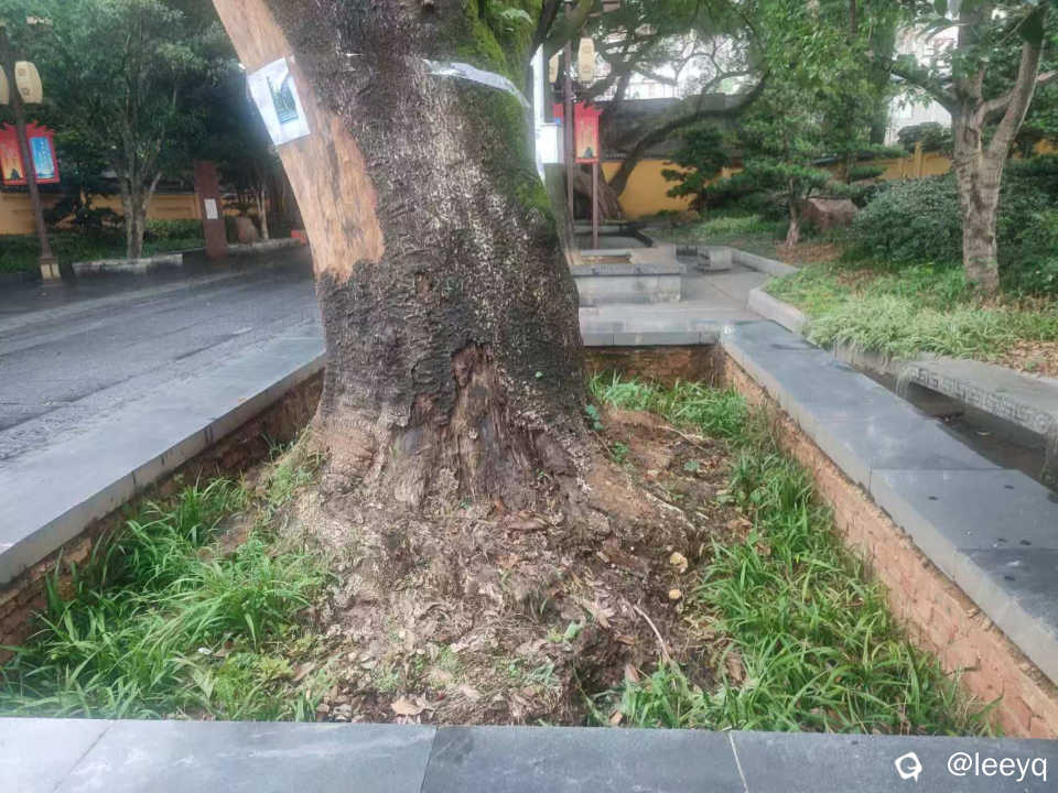 微信图片_20260519181716_75_117.jpg