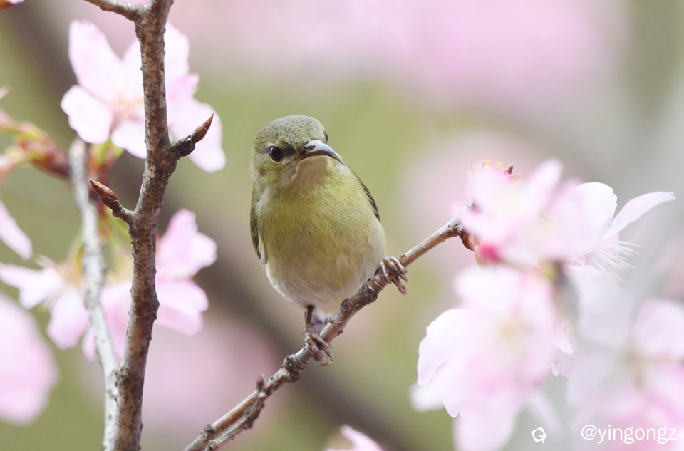 DSC_4512_副本.jpg