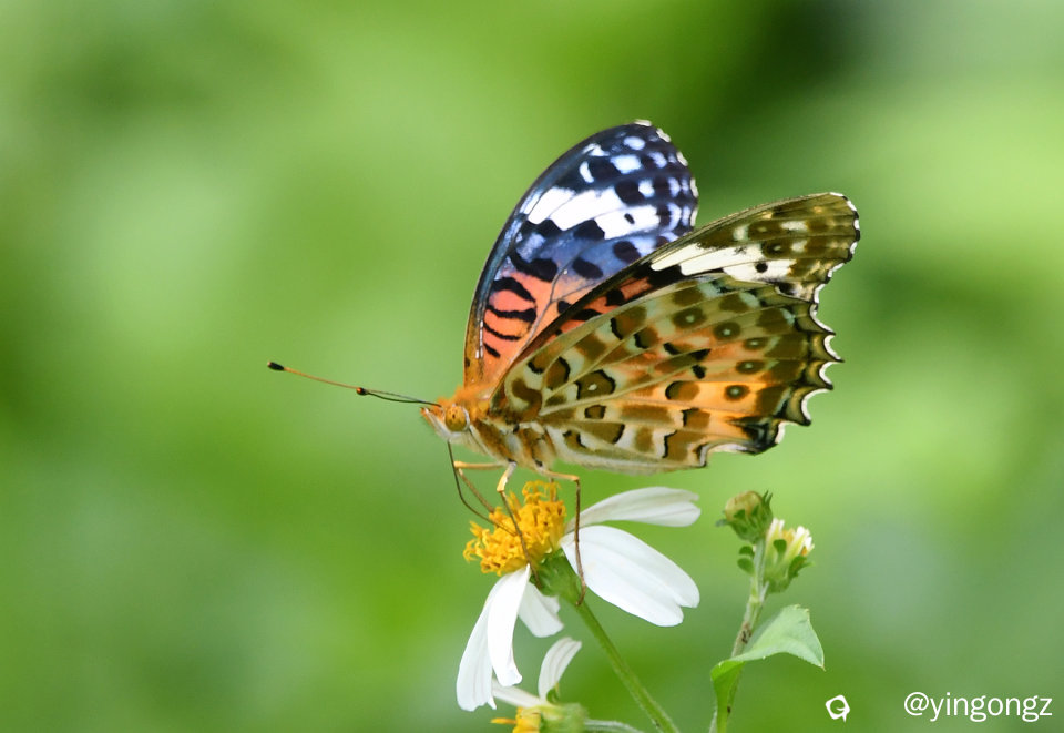 DSC_1501_副本.jpg
