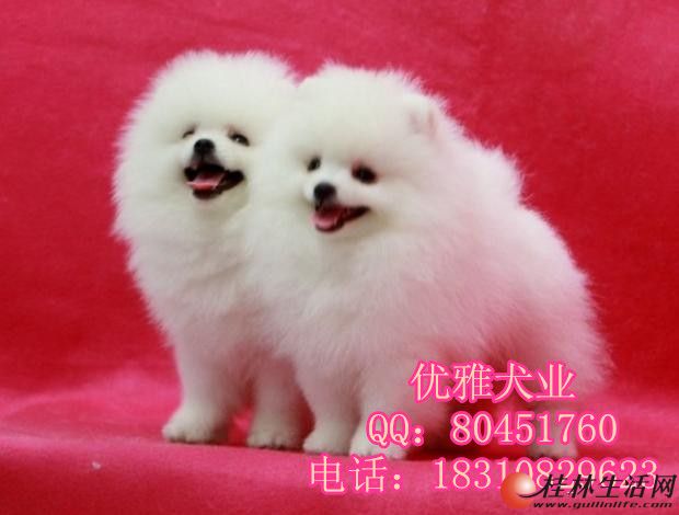 �������в�����Ȯ���� ���������岩��