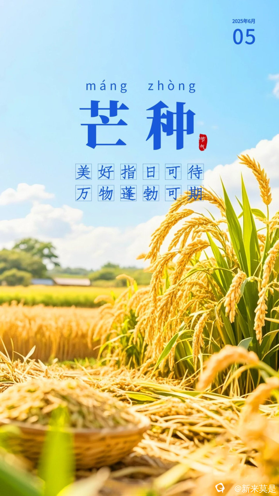 4d41f6c426aefbe4001c47ffac6ffc7d.jpg