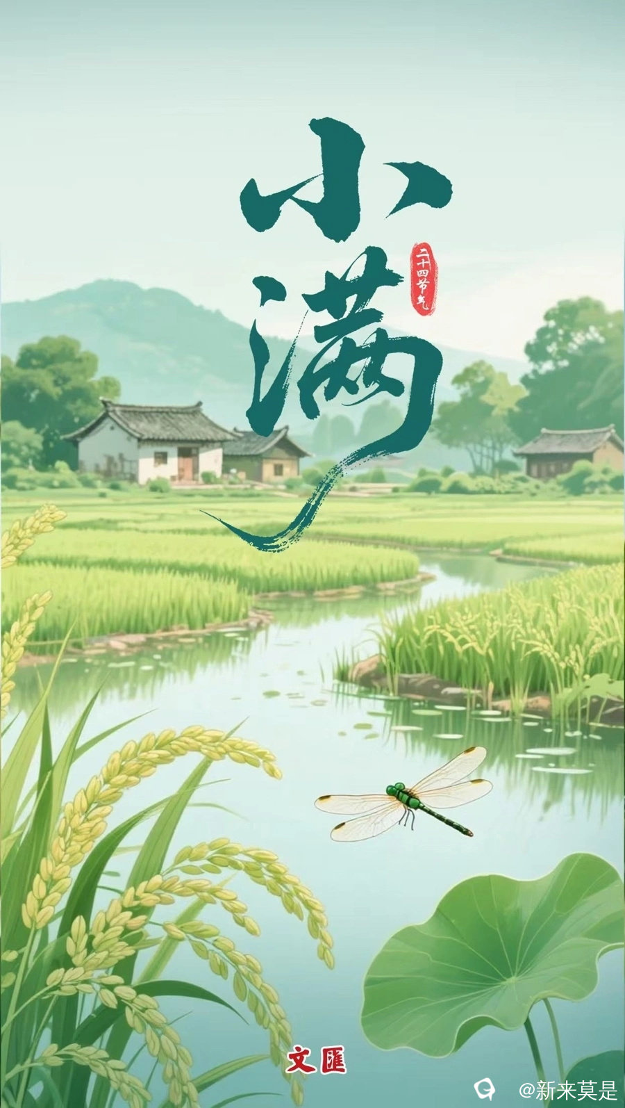 641_看图王.jpg
