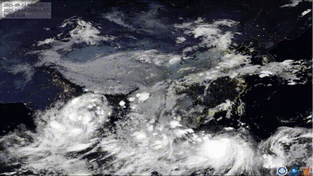QQ2025927-16553-HD~1.gif
