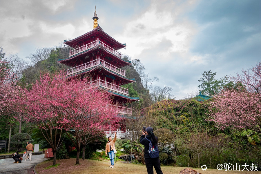 DSC05443-0_副本2.jpg