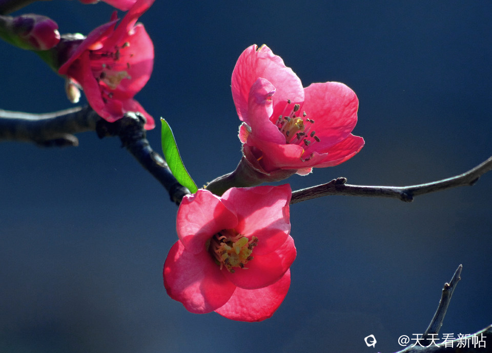 DSCF2233_副本.jpg