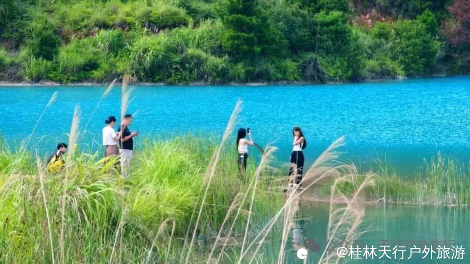 640 (1).webp (2).png