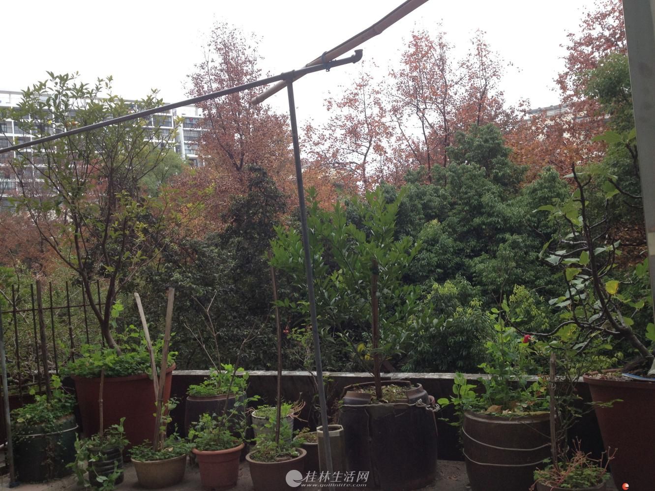 ����ѧ�� ����С�� ¥����¥ ��װ2��+ƽ̨62��