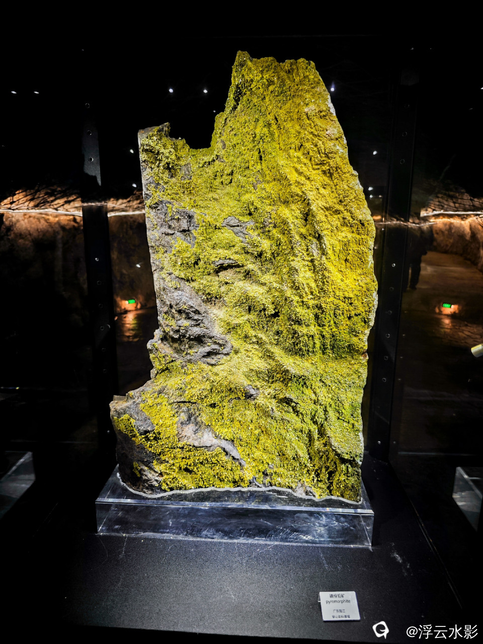 未命名-170742 [最大宽度 2400 最大高度 1800].jpg