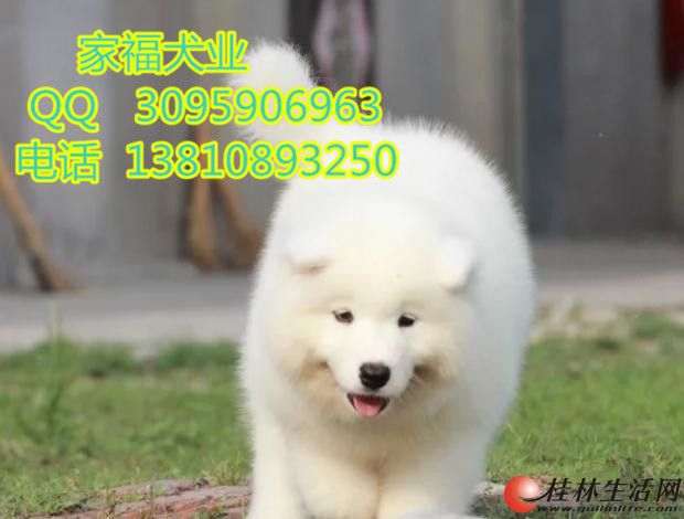 ������ĦҮ �İ���ĦҮ ��ϵѩ����ĦҮ ����ǩЭ�� ȫ�����˷�