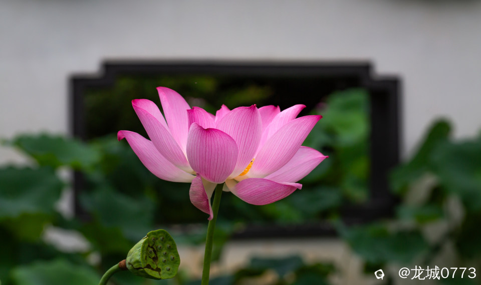 1X4A5765.jpg
